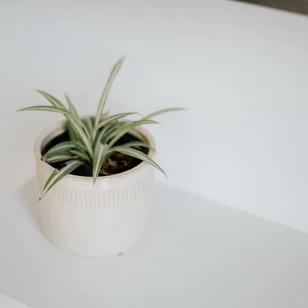 Apartamento 4 Esquinas Adeje Homes Costa Adeje (Tenerife)